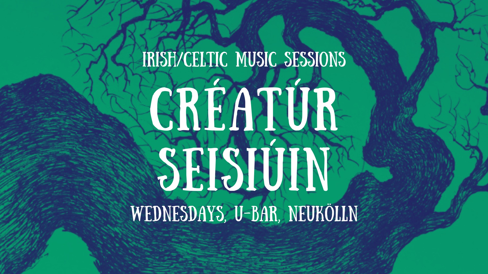 Irish / Celtic Music Session